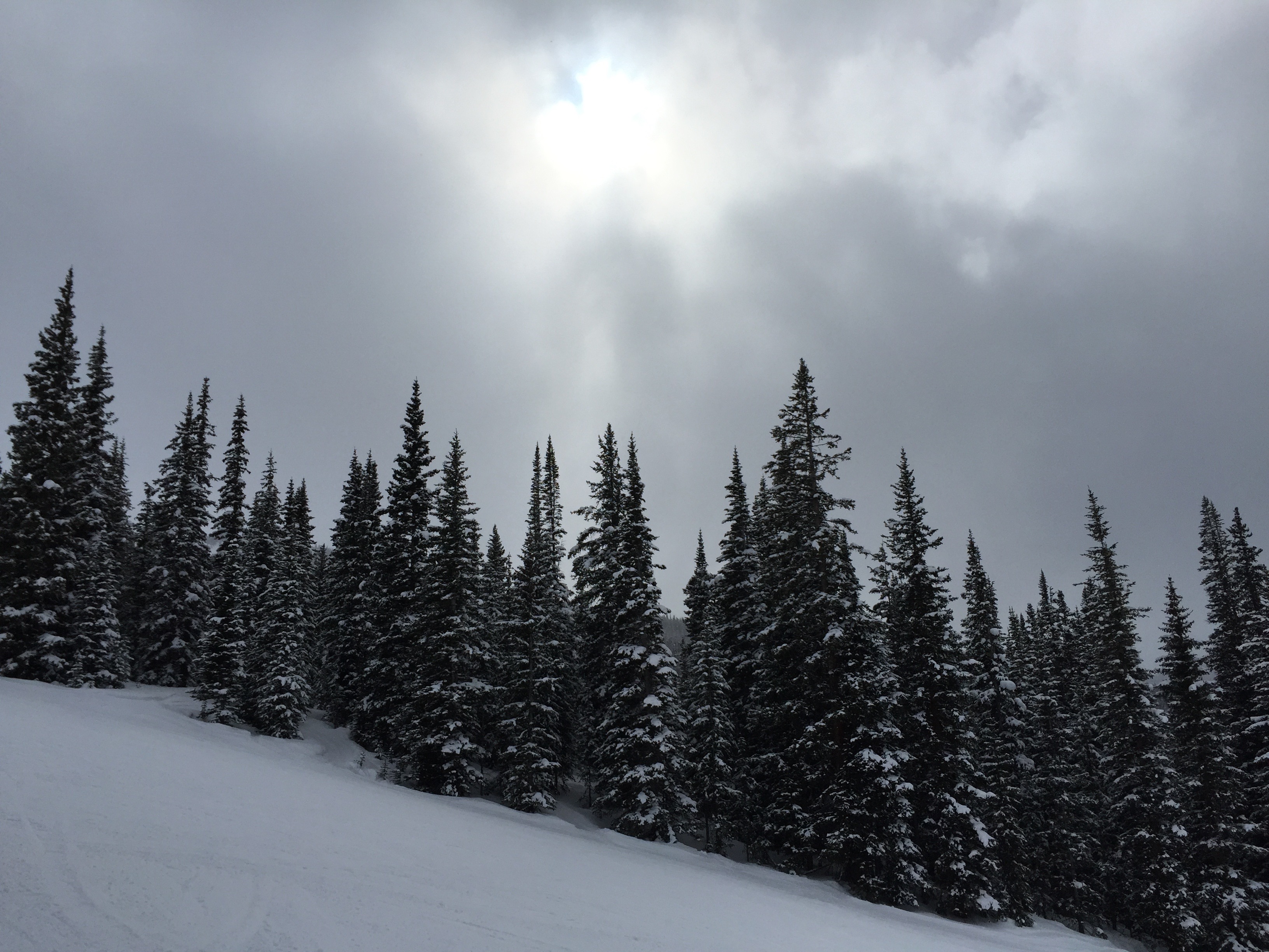 Upper section of a ski slope with the sun dim behind cloudy sky