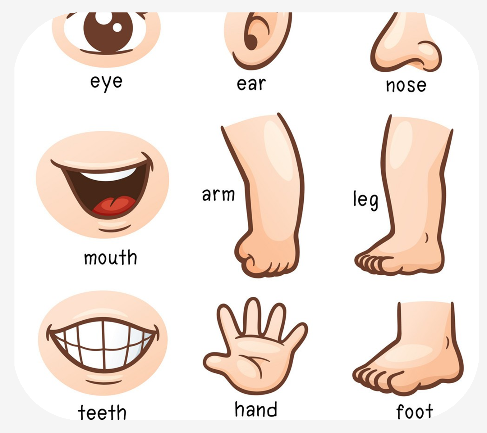 Beauty makeover cartoon body part