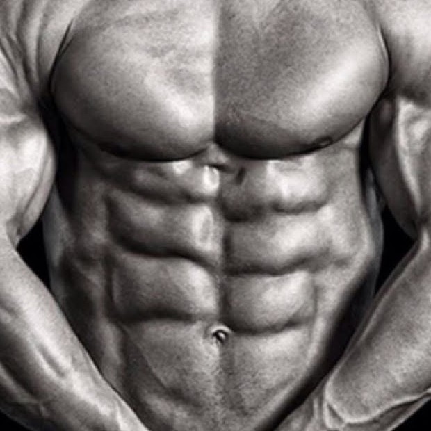 Front view of a bodybuilders abs