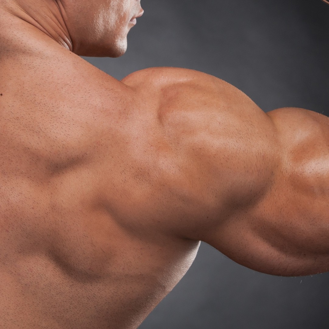 Rear view of a bodybuilders shoulders